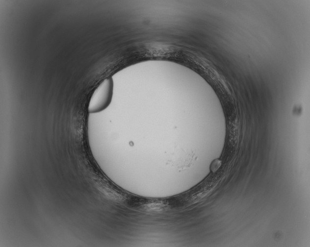 X0000093760505200711061114