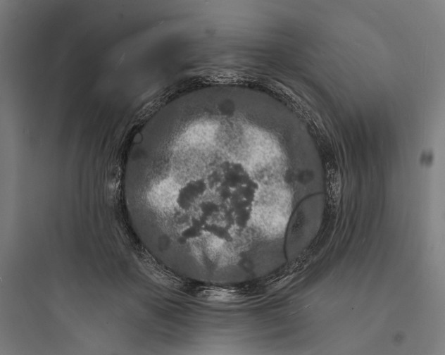 X0000093760507200711061114