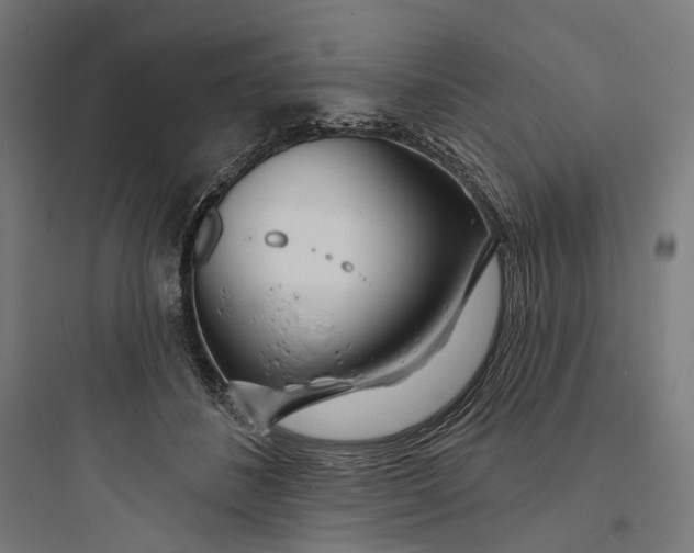 X0000093760508200711061114