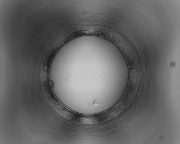 X0000093760510200711061114