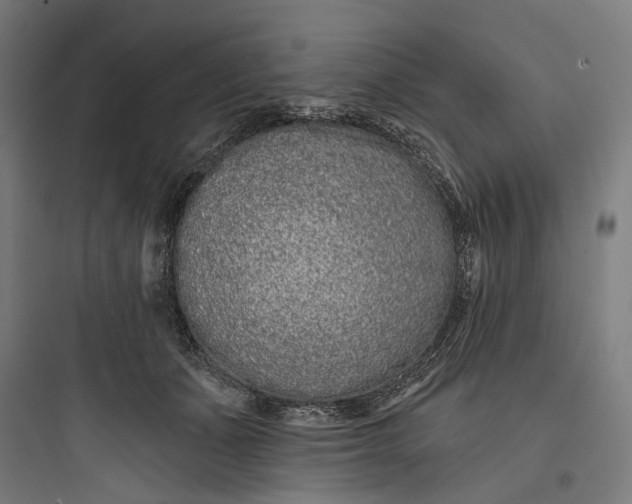 X0000093760511200711061114