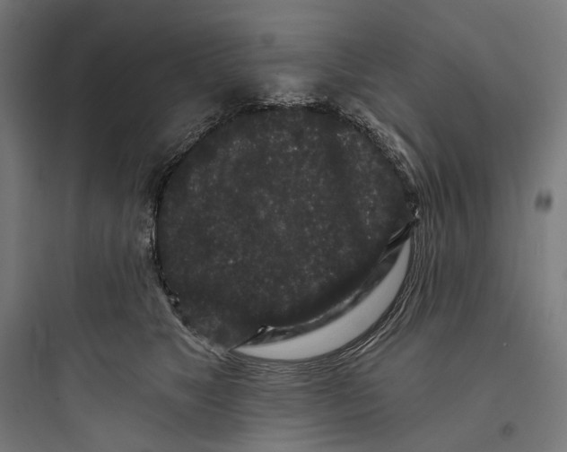 X0000093760517200711061114