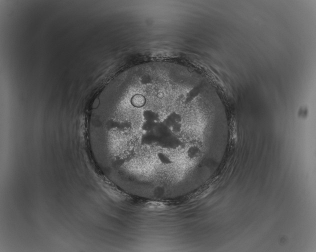 X0000093760519200711061114