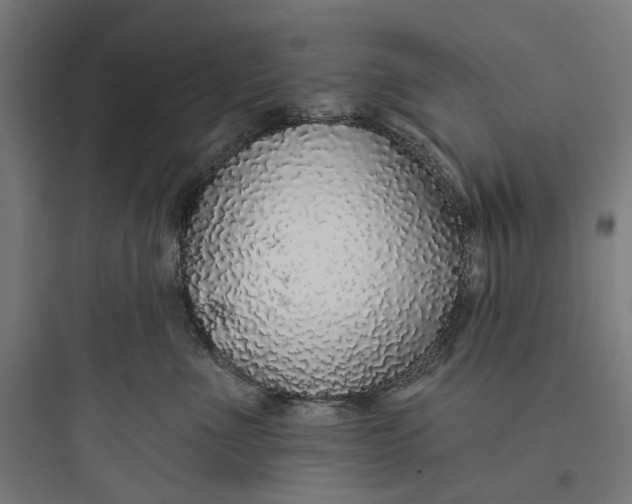 X0000093760523200711061114