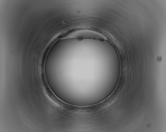 X0000093760530200711061113