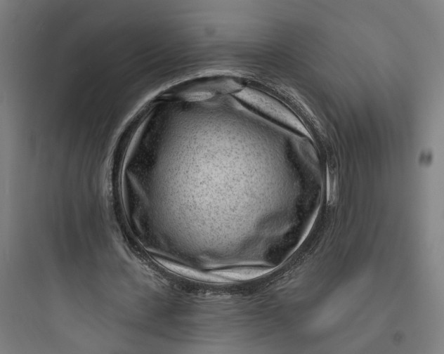 X0000093760531200711061113