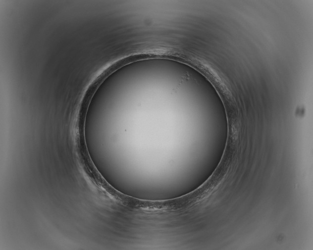 X0000093760532200711061113