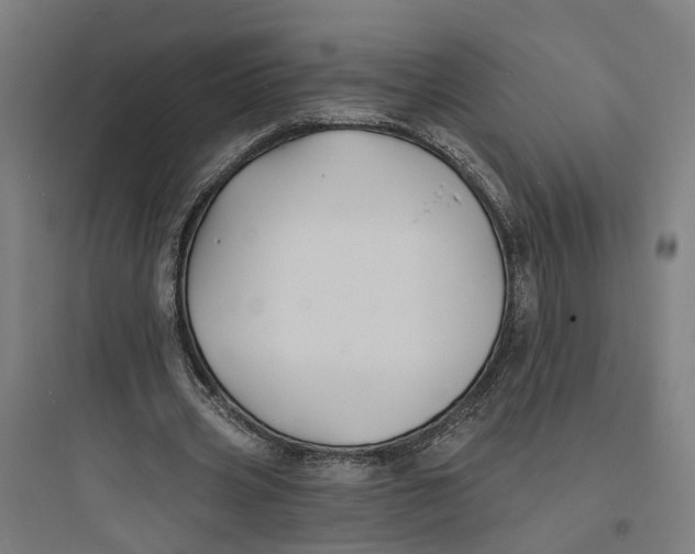 X0000093760533200711061113