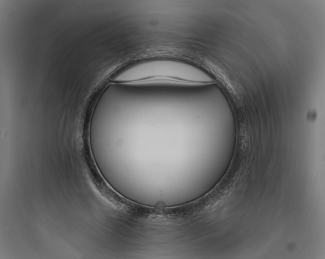 X0000093760538200711061113