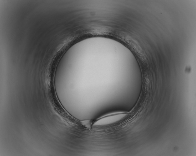 X0000093760539200711061113