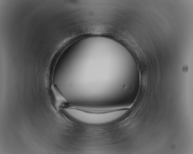 X0000093760540200711061113