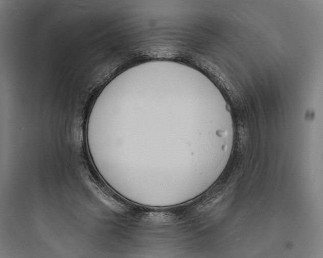 X0000093760541200711061113