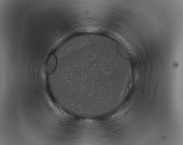 X0000093760542200711061113