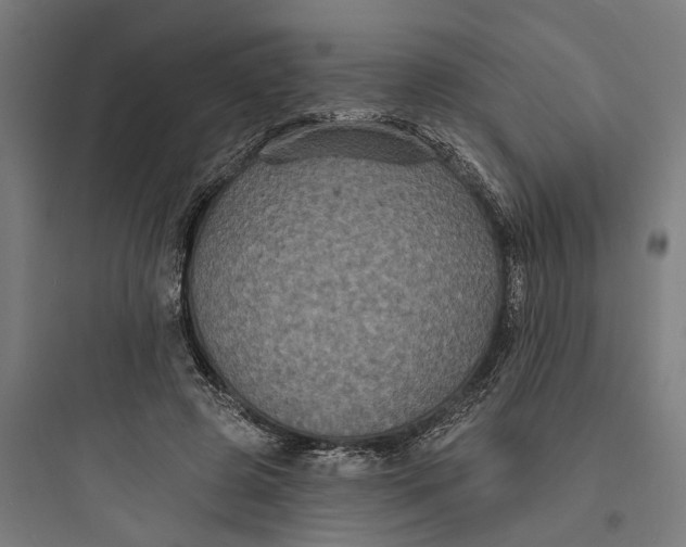 X0000093760545200711061113