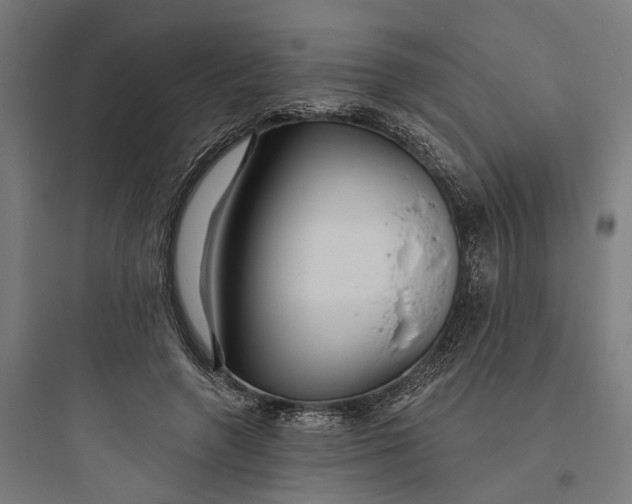 X0000093760546200711061113