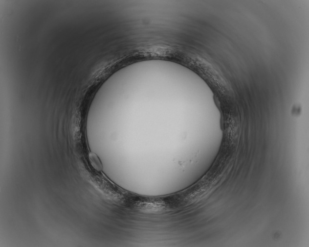 X0000093760548200711061113