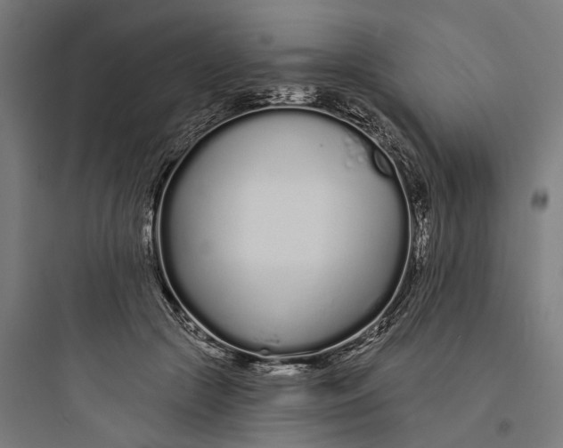 X0000093760553200711061113