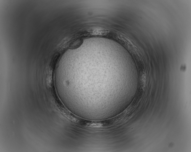 X0000093760554200711061113