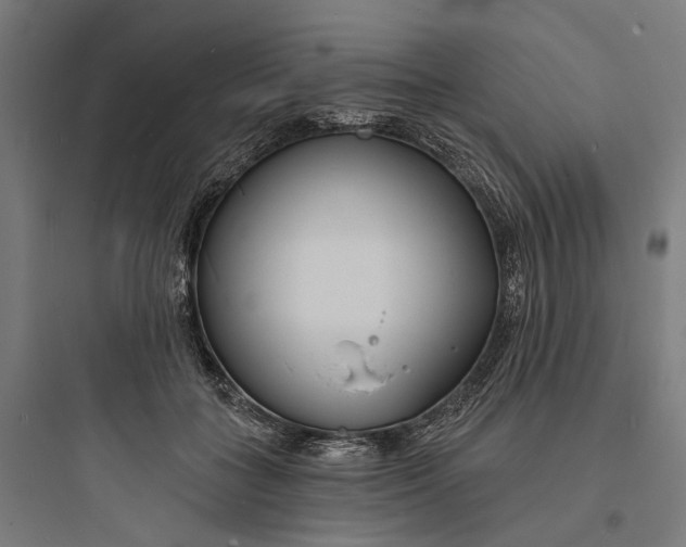 X0000093760555200711061113