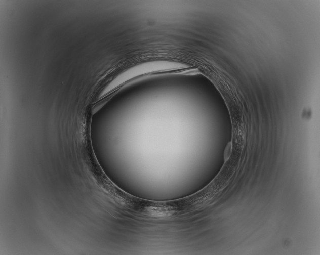 X0000093760556200711061113