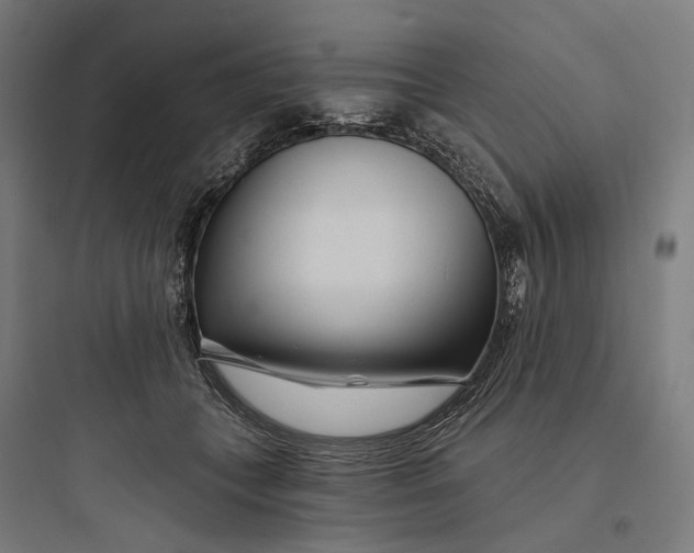 X0000093760559200711061113