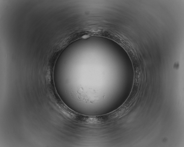 X0000093760562200711061113