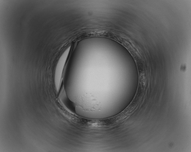 X0000093760564200711061113