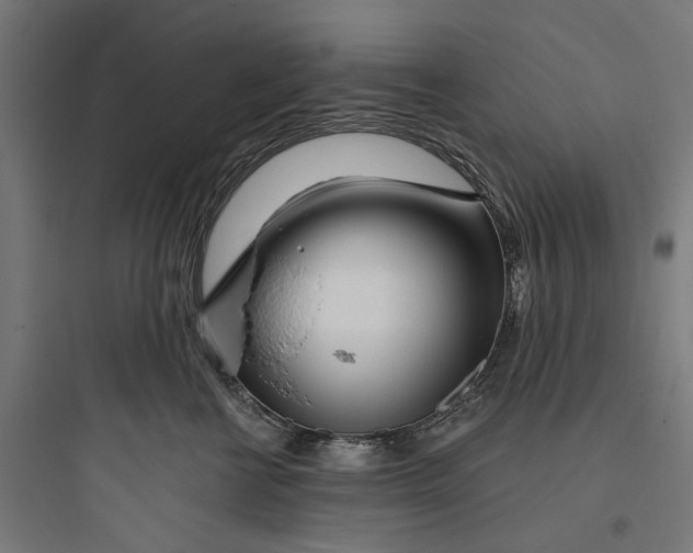 X0000093760570200711061113