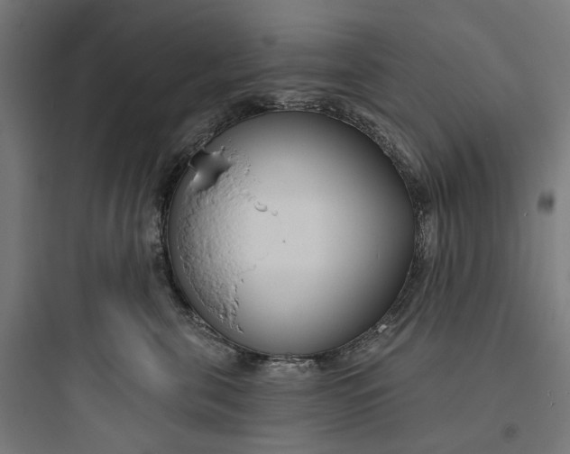 X0000093760571200711061113