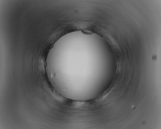 X0000093760575200711061113