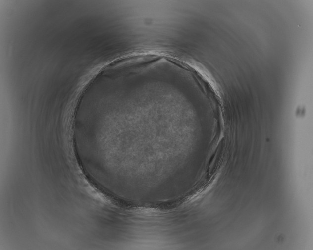 X0000093760577200711061113