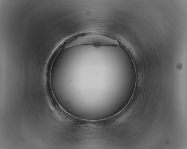 X0000093760580200711061113