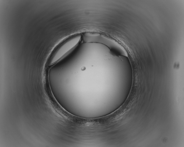 X0000093760584200711061113