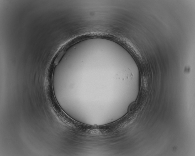 X0000093760588200711061112