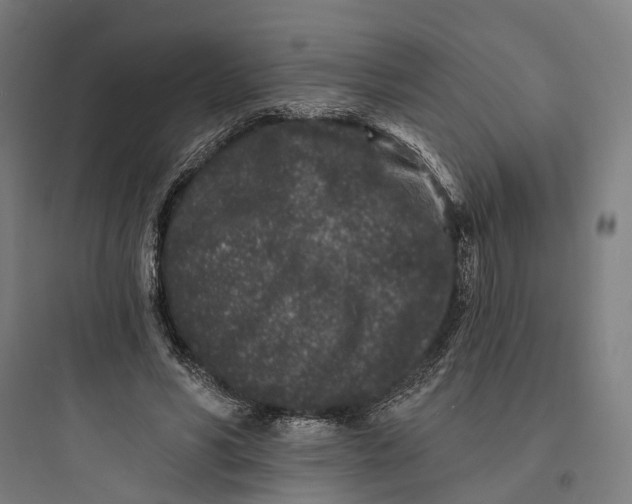 X0000093760590200711061112