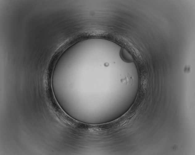 X0000093760591200711061112