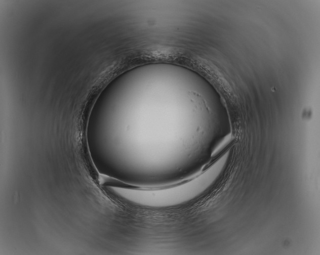 X0000093760593200711061112