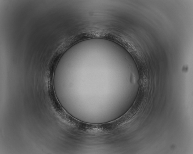 X0000093760594200711061112