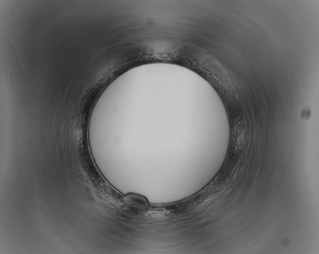 X0000093760595200711061112