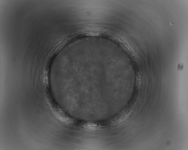 X0000093760598200711061112