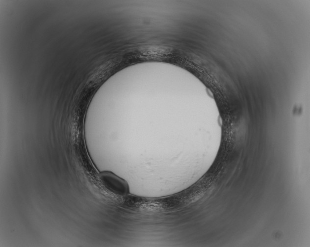 X0000093760599200711061112