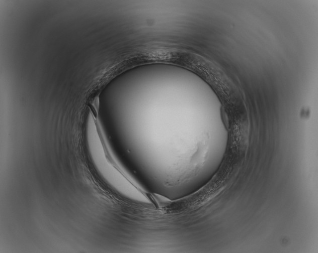 X0000093760600200711061112