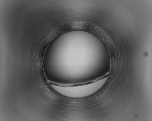 X0000093760601200711061112