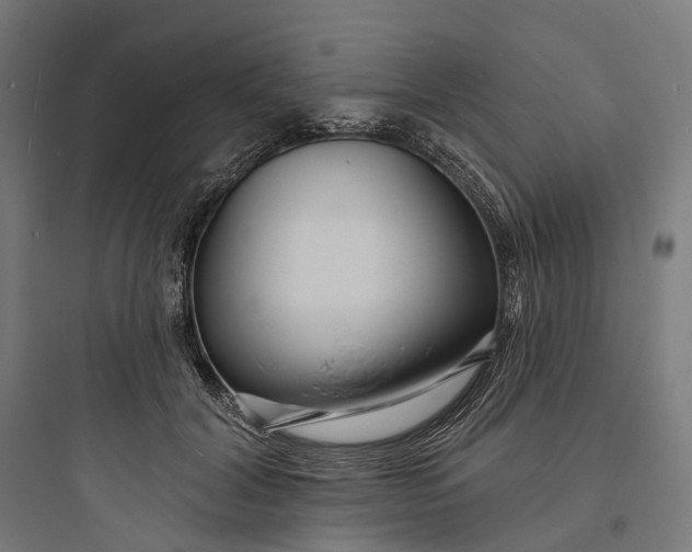 X0000093760604200711061112