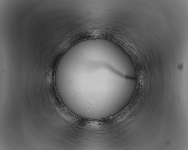 X0000093760611200711061112