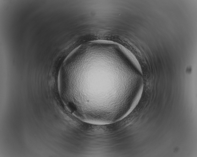 X0000093760618200711061112