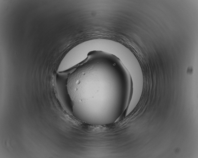 X0000093760621200711061112