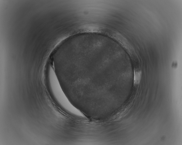 X0000093760627200711061111