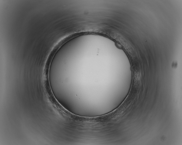 X0000093760628200711061111