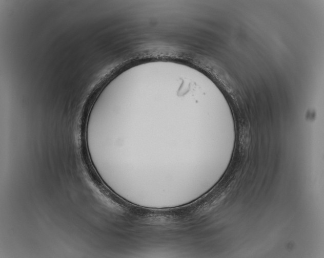 X0000093760629200711061111